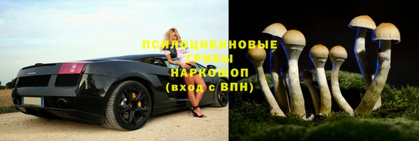 соль ск Абдулино