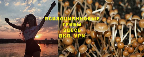 бошки Абаза