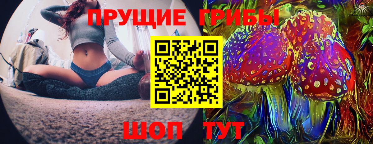 Балаково  Галлюциногенные грибы Psilocybine cubensis  Псилоцибиновые грибы Cubensis  продажа наркотиков  Вход с VPN 
