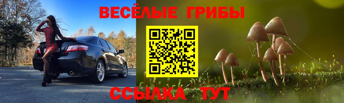 Галлюциногенные грибы Cubensis  Вход с VPN  Балаково 